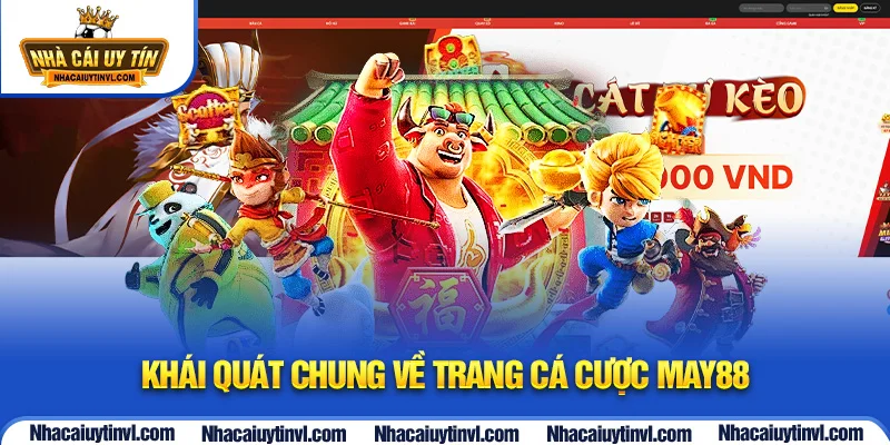 Khái quát chung về trang cá cược MAY88